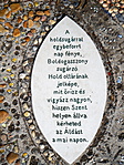 DSCN7017-001