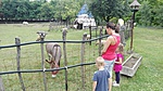 IMG_20160706_102642