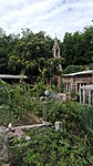IMG_20160706_103541