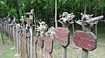 IMG_20160706_104536