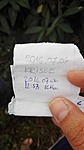 IMG_20160706_125503