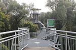 IMG_1701