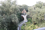 IMG_1702