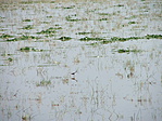 DSCF0612