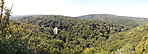 Panoráma