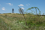 _DSC4512