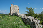 _DSC4539