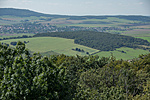 _DSC4558