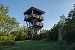 _DSC4609