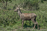_DSC4695