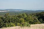 _DSC4732
