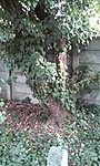 20160904_175645