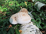IMG_5058