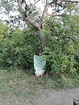 IMG_20160911_181931