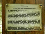 P9110028