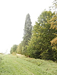 P9180078