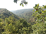 DSCN1128