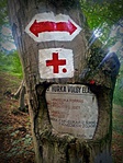 gcpava-012
