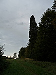 P1370414