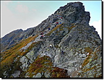 29034067