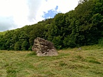 WP_20160720_16_36_24_Pro
