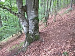WP_20160720_16_51_34_Pro