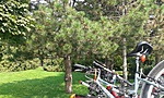 20160903_114619