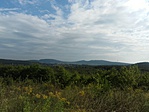 GClige_20160920100728.jpg