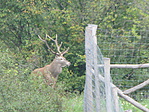 IMG_0620
