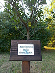 DSCN3472