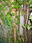 DSCN3475