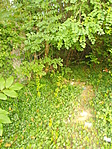 DSCN3476