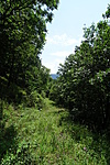 DSC03885