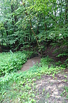 DSC03864
