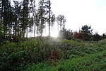 DSC04625
