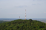 DSC04636