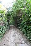 DSC04646