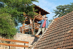 IMG_7482