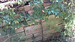 20160916_142724