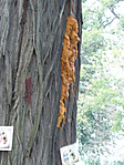 P1250159