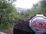 GCvics_160921