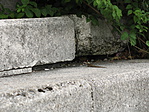 Gyíkocska