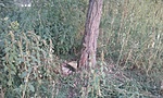 20160925_181215