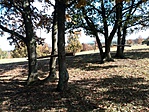 IMG_20161026_130750