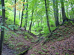 Patakmeger