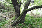 P1060907