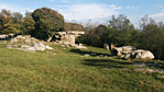 kotenger
