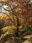 2016-10-28 14.09.49