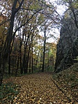 2016-10-28 14.41.33