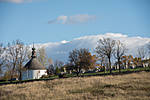 _DSC5655